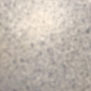 Meet your Posher, Buchi